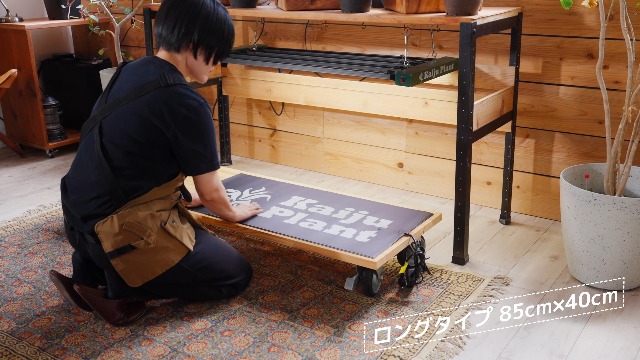 Amazon.co.jp: Kaiju Plant 怪獣サーマットLサイズ 室内園芸用